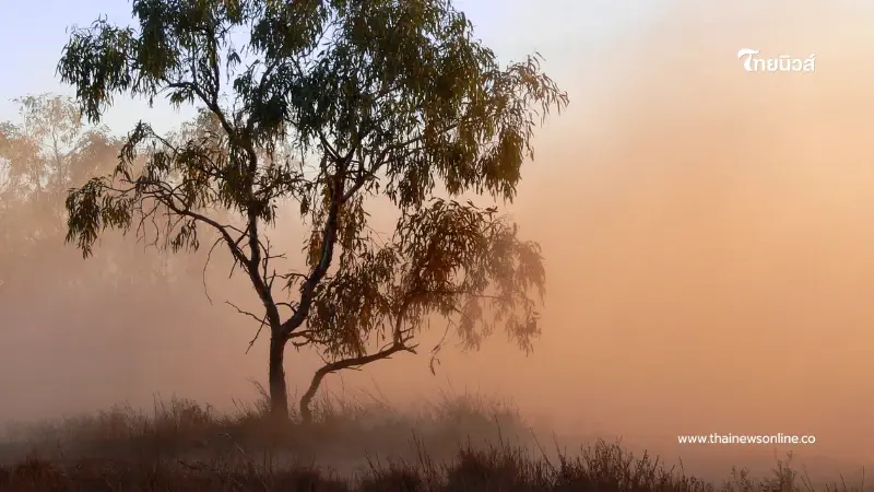ฝุ่น PM2.5 พุ่งปรี๊ด พบ 27 พื้นที่เสี่ยงค่าเกินมาตรฐาน แนะสวมหน้ากาก ฝุ่น PM2.5 พุ่งปรี๊ด พบ 27 พื้นที่เสี่ยงค่าเกินมาตรฐาน แนะสวมหน้ากาก