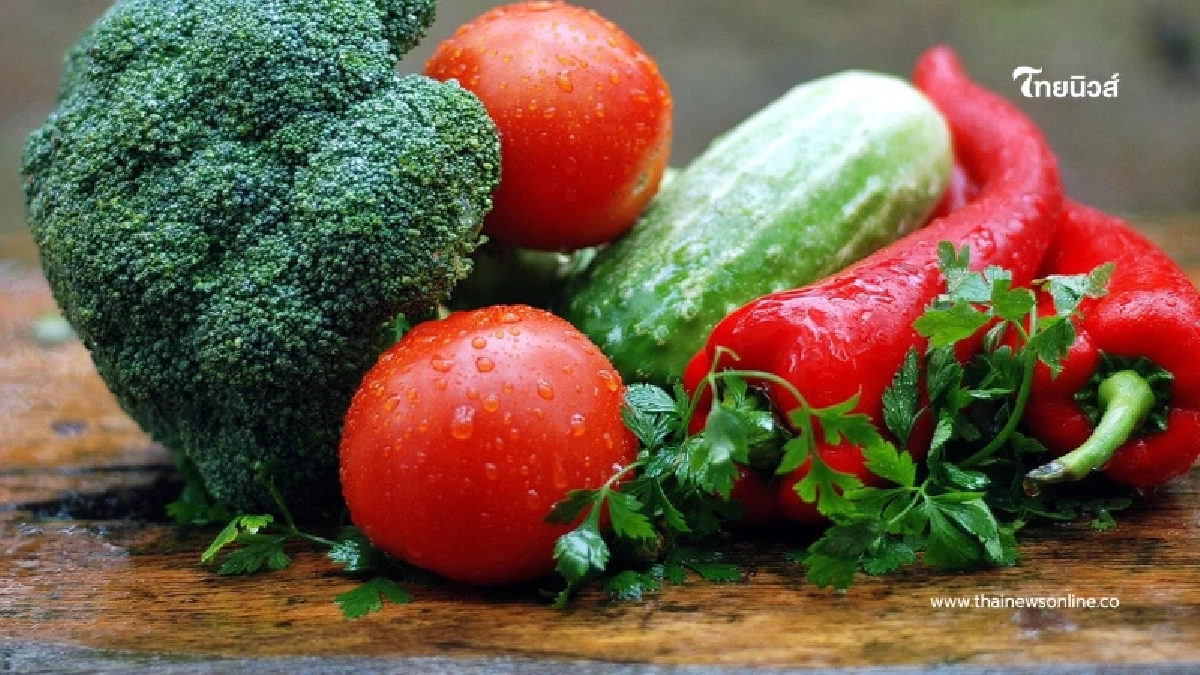 ผัก 6 ชนิด "ห้ามแช่ตู้เย็น" ความเชื่อผิด ๆ ที่หลายคนทำมาตลอด