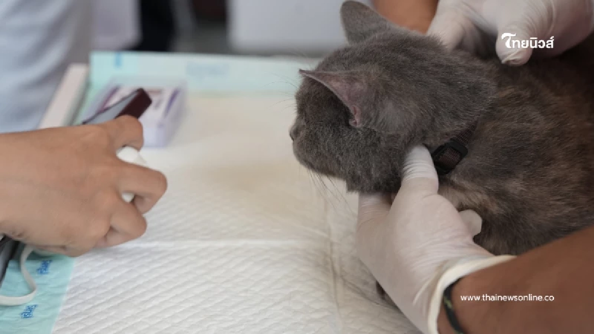 10 จุดบริการฉีดฝังไมโครชิปและจดทะเบียนสัตว์เลี้ยง ในกรุงเทพมหานคร