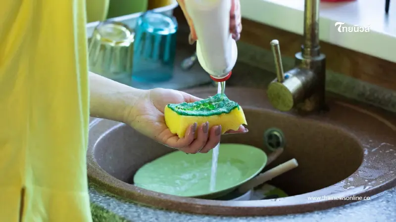 "เปิดวิธีเลือกสี ฟองน้ำล้างจาน ให้ถูกประเภท ถนอมภาชนะ" "เปิดวิธีเลือกสี ฟองน้ำล้างจาน ให้ถูกประเภท ถนอมภาชนะ"