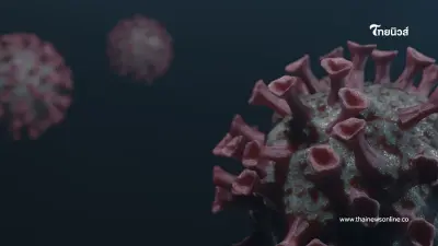 ระวัง นิปาห์ เชื้อไวรัสอันตรายจากสัตว์สู่คน พาหะใกล้ตัวกว่าที่คิด