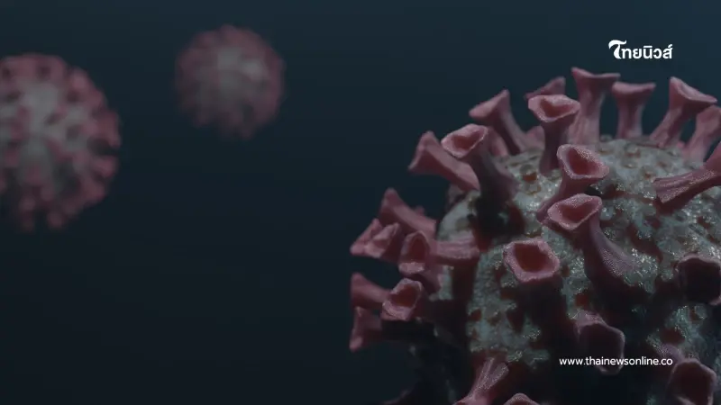 ระวัง นิปาห์ เชื้อไวรัสอันตรายจากสัตว์สู่คน พาหะใกล้ตัวกว่าที่คิด ระวัง นิปาห์ เชื้อไวรัสอันตรายจากสัตว์สู่คน พาหะใกล้ตัวกว่าที่คิด