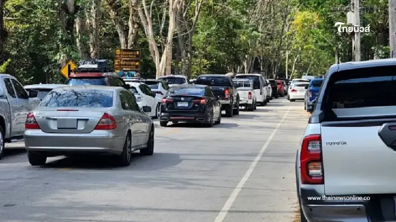 ปีใหม่ 2569 คึกคัก นักท่องเที่ยวแห่เข้าอุทยานทั่วไทย ทะลุ 5 แสนคน ปีใหม่ 2569 คึกคัก นักท่องเที่ยวแห่เข้าอุทยานทั่วไทย ทะลุ 5 แสนคน