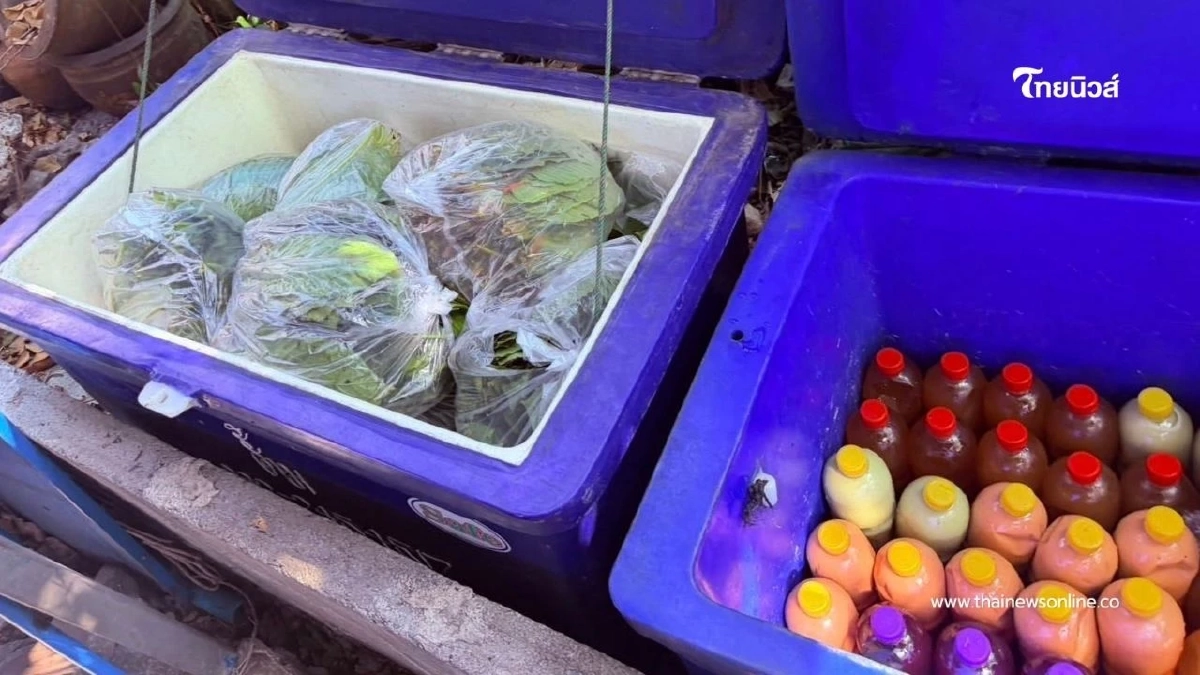 ฝ่ายปกครองเมืองนนท์ลงพื้นที่ตรวจสอบเบาะแส ลอบขายน้ำกระท่อม