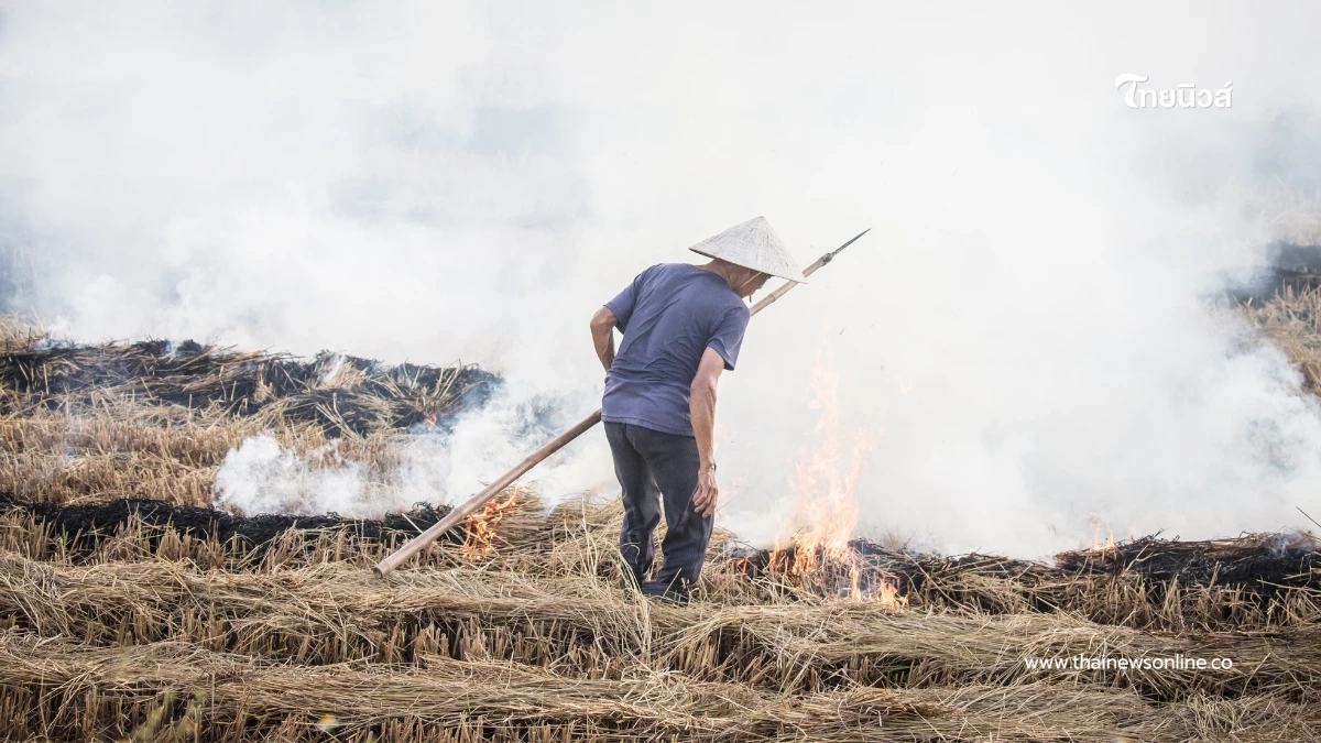 กรมควบคุมมลพิษ แจงกฎหมายห้ามเผา ฝ่าฝืนโทษหนัก คุกสูงสุด 20 ปี