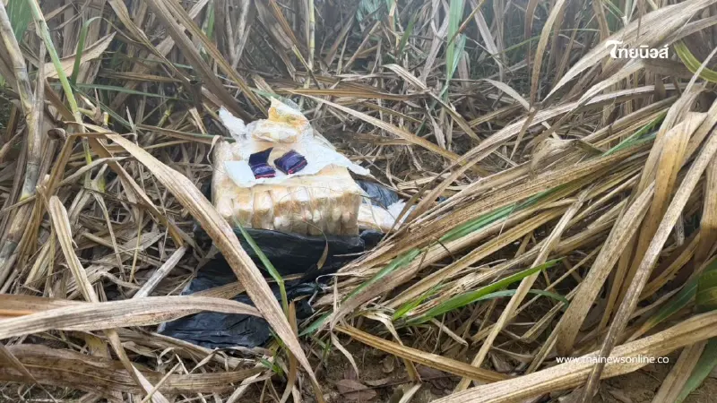 กกล.สุรศักดิ์มนตรีสกัดยานรกล็อตใหญ่! ตรวจยึดยาบ้า 6 แสนเม็ด