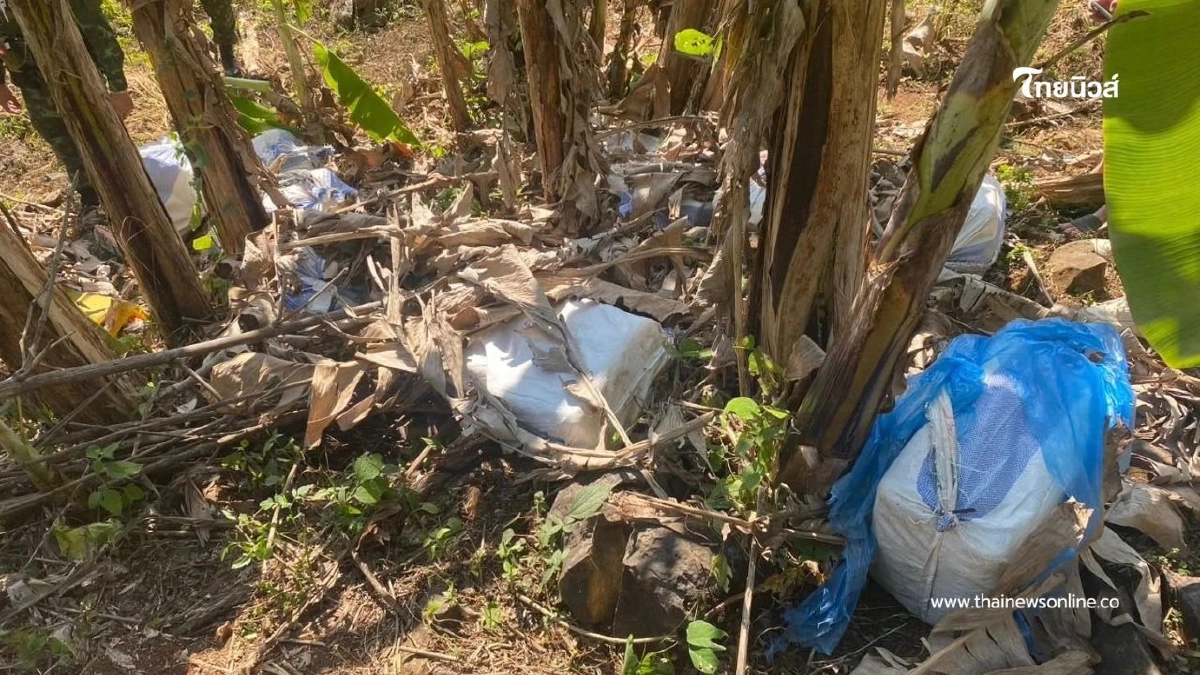 กกล.ผาเมือง ปะทะขบวนการค้ายาแม่สาย ยึดยาบ้ากว่า 2.2 ล้านเม็ด