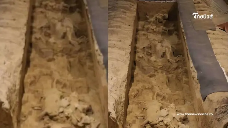 จีนขุดพบ รถม้าโบราณ ใกล้สุสานจิ๋นซีฮ่องเต้ พร้อมคลังสมบัติล้ำค่า