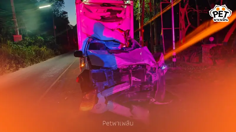 เร่งหาพลายชมวิว ถูกรถชนบาดเจ็บ เตรียมทีมหมอช่วยด่วนที่เขาใหญ่