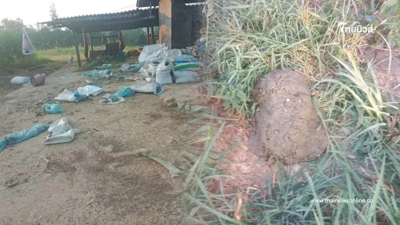 เจ้าของบ้านงง ตื่นเช้าเจอโรงเรือนพัง พบหลักฐานคือรอยเท้า