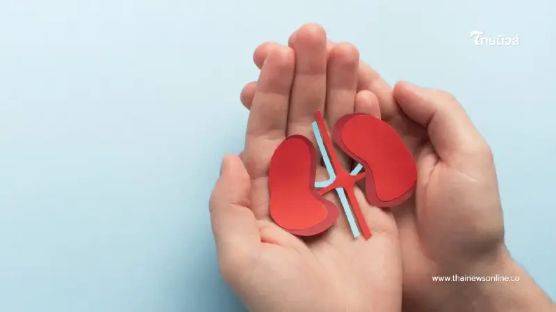ไตแข็งแรงหรือยัง? 5 สัญญาณเช็กว่าไตยังแข็งแรงสุขภาพดี