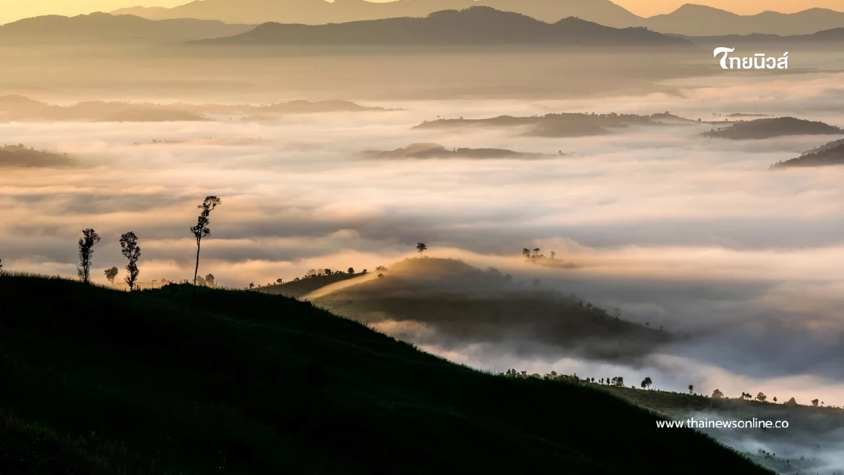 เตรียมรับมือ! วันนี้หนาวกว่าเดิม อุณหภูมิลดฮวบรับลมแรง