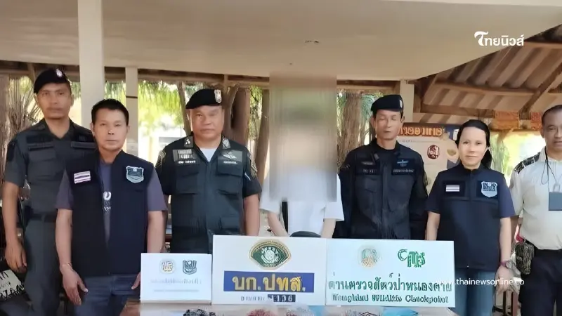 ทลายตลาดค้าสัตว์ป่าชายแดนไทย–ลาว รวบ 2 ผู้ต้องหา ยึดซากสัตว์ป่า