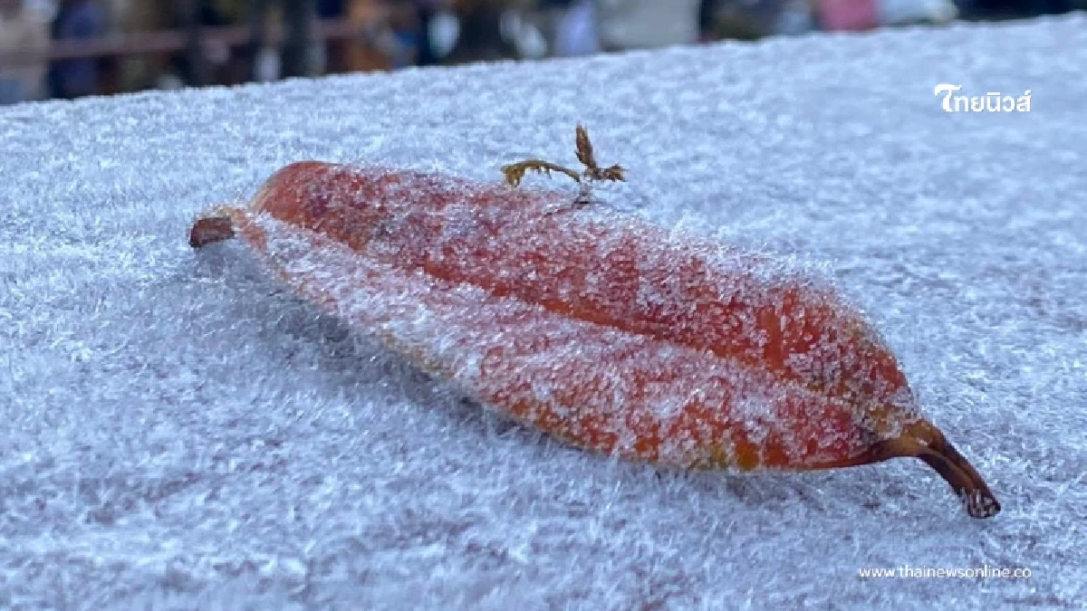 อุตุฯ ชี้สภาพอากาศแปรปรวน หนาวกลับมาอีกครั้ง อุณหภูมิลด 2–4 องศา