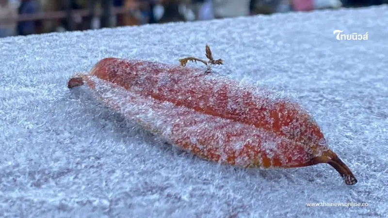 อุตุฯ ชี้สภาพอากาศแปรปรวน หนาวกลับมาอีกครั้ง อุณหภูมิลด 2–4 องศา