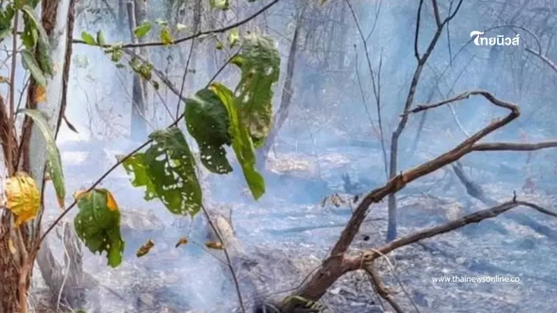 เตือนประชาชนระวัง ฤดูหนาวอากาศแห้ง เสี่ยงอัคคีภัยมากขึ้น