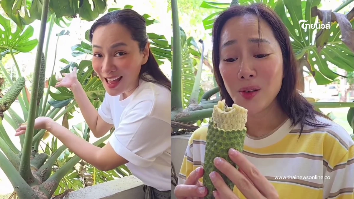 ฮือฮาคนรักต้นไม้ “จอย รินลณี” เปิดประสบการณ์ชิมผลมอนสเตอร่า