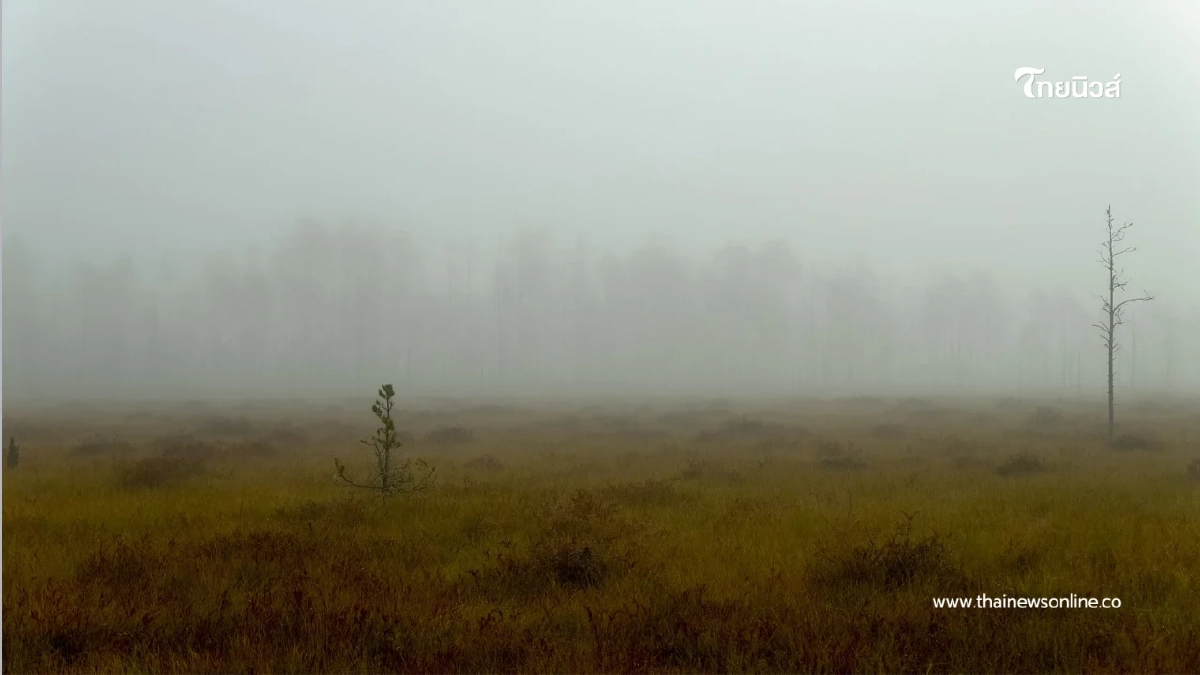 พยากรณ์อากาศวันนี้ เหนือ-อีสานยังหนาว กทม.ยังคงระวังฝุ่นสะสม