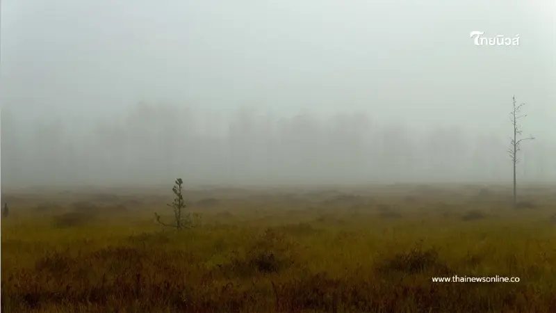 พยากรณ์อากาศวันนี้ เหนือ-อีสานยังหนาว กทม.ยังคงระวังฝุ่นสะสม