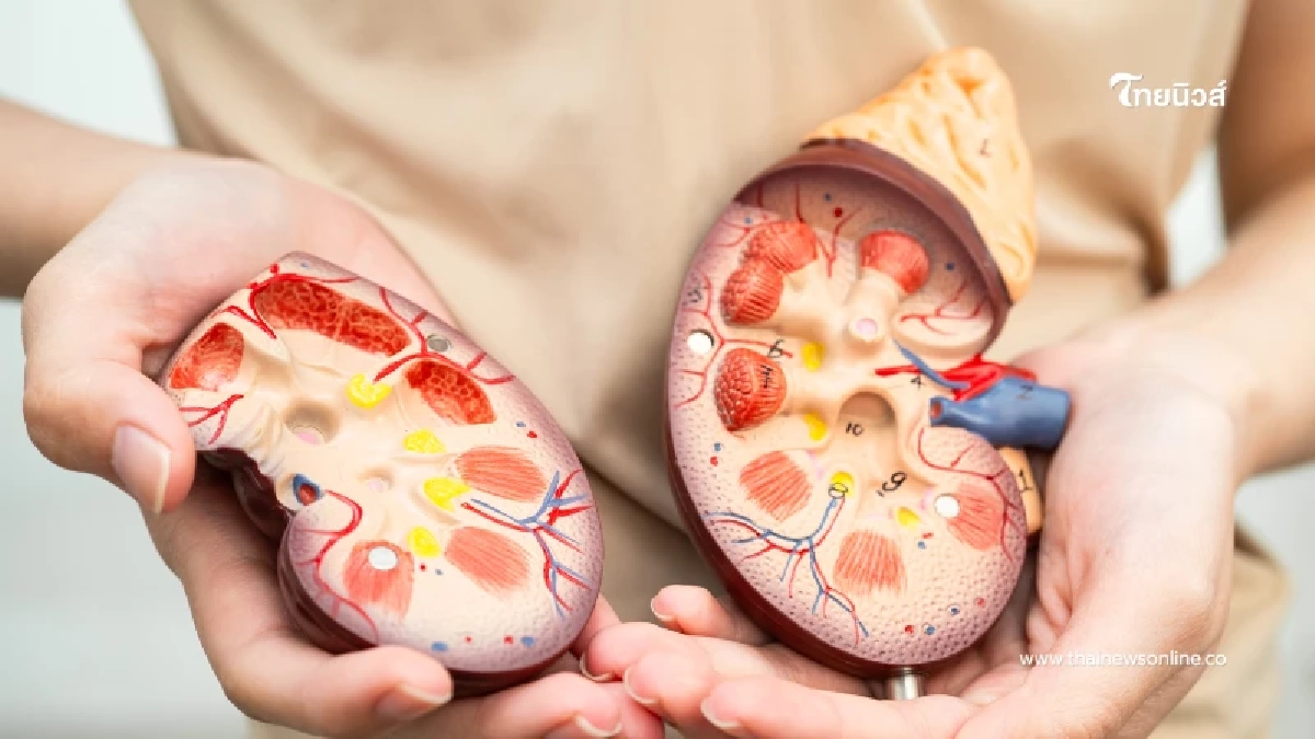 ประกันสังคมแจงยิบสิทธิรักษาไตวายเรื้อรัง เร่งตรวจสอบพร้อมให้ความช่วยเหลือ