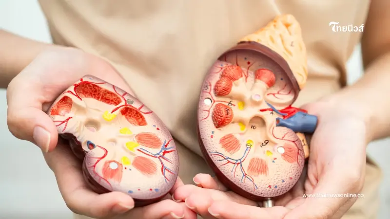 ประกันสังคมแจงยิบสิทธิรักษาไตวายเรื้อรัง เร่งตรวจสอบพร้อมให้ความช่วยเหลือ