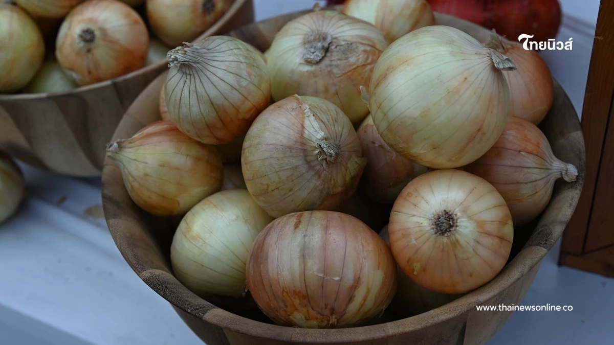 งัดไม้แข็ง เข้มขนย้ายหัวหอม 52 จ. สกัดหอมเถื่อนสวมสิทธิ์-กดราคา