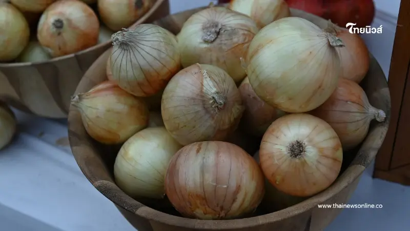 งัดไม้แข็ง เข้มขนย้ายหัวหอม 52 จ. สกัดหอมเถื่อนสวมสิทธิ์-กดราคา งัดไม้แข็ง เข้มขนย้ายหัวหอม 52 จ. สกัดหอมเถื่อนสวมสิทธิ์-กดราคา