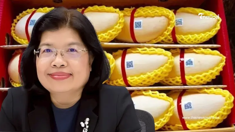 เปิดโผ Top 5"มะม่วง GI"ไทย  มูลค่าสูง กรมทรัพย์สินทางปัญญา ชูจุดแข็งอัตลักษณ์พื้นถิ่น-คุณภาพมาตรฐานโลก