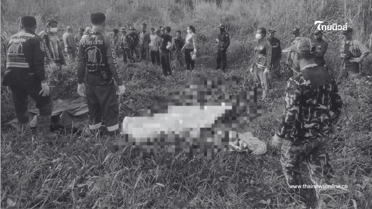 ช้างป่าทำร้ายชายกัมพูชาเสียชีวิตคาสวนยาง จ.ตราด เร่งเฝ้าระวัง