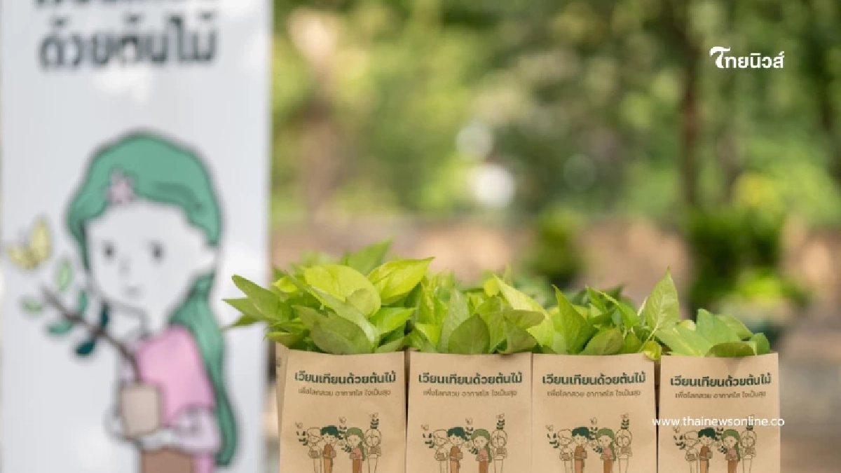 เวียนเทียนด้วยต้นไม้ 3 มีนานี้ เปลี่ยน กทม. ให้เขียวแบบแลนด์สไลด์