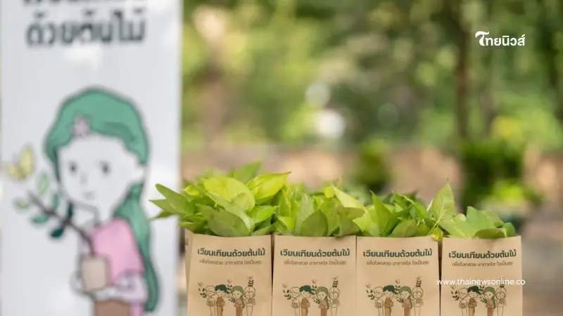 เวียนเทียนด้วยต้นไม้ 3 มีนานี้ เปลี่ยน กทม. ให้เขียวแบบแลนด์สไลด์