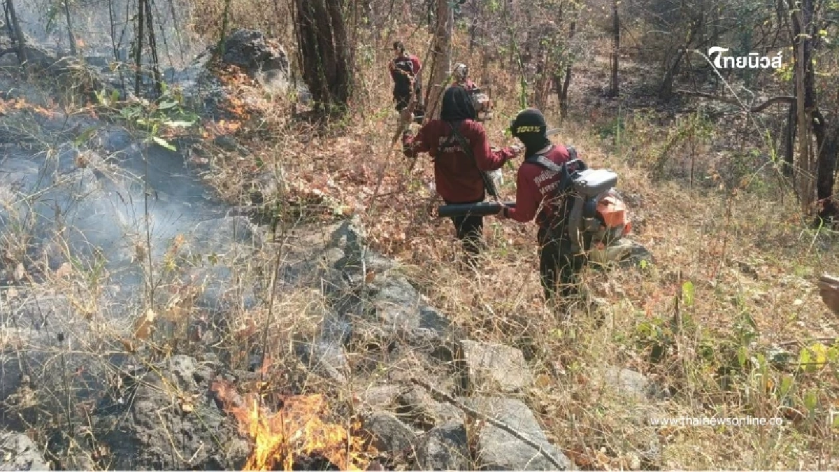 เสือไฟ-เหยี่ยวไฟ แท็กทีมบุกป่าชัยภูมิ สกัดคราบไฟ 5 จุดรวด เสือไฟ-เหยี่ยวไฟ แท็กทีมบุกป่าชัยภูมิ สกัดคราบไฟ 5 จุดรวด