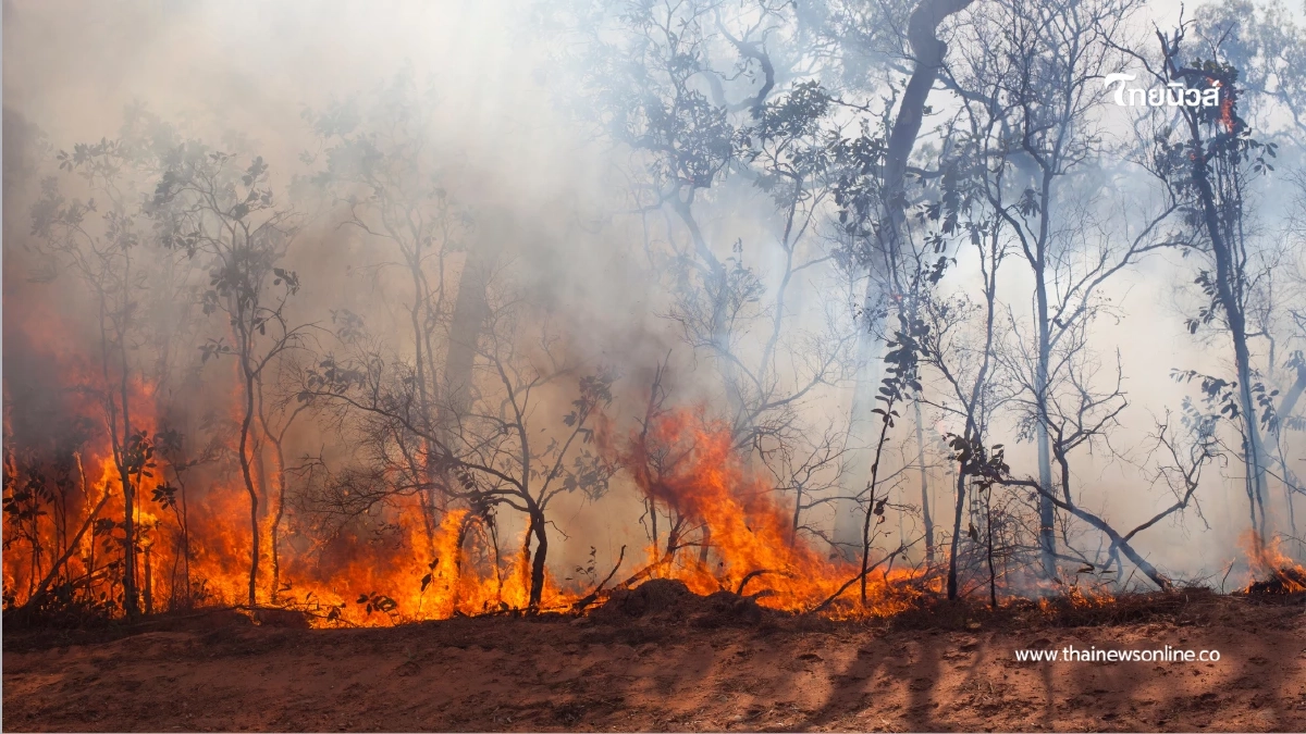 ฝ่าฝืนมีโทษหนัก! พิษณุโลกสั่งห้ามเผาทุกชนิดเด็ดขาด 89 วัน