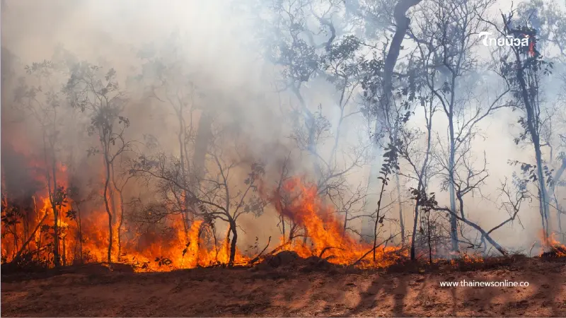 ฝ่าฝืนมีโทษหนัก! พิษณุโลกสั่งห้ามเผาทุกชนิดเด็ดขาด 89 วัน