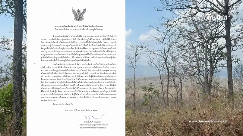 สั่งปิดด่วน! หอนกยูง ห้วยขาแข้ง หลังพบแม่เสือโคร่งดุหวงลูก