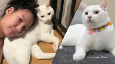 ย้อนโพสต์ "ไข่ขาวลูกแมร๊" เปลี่ยนชะตาเจ้าของ ก่อนจากไปกะทันหัน ย้อนโพสต์ "ไข่ขาวลูกแมร๊" เปลี่ยนชะตาเจ้าของ ก่อนจากไปกะทันหัน