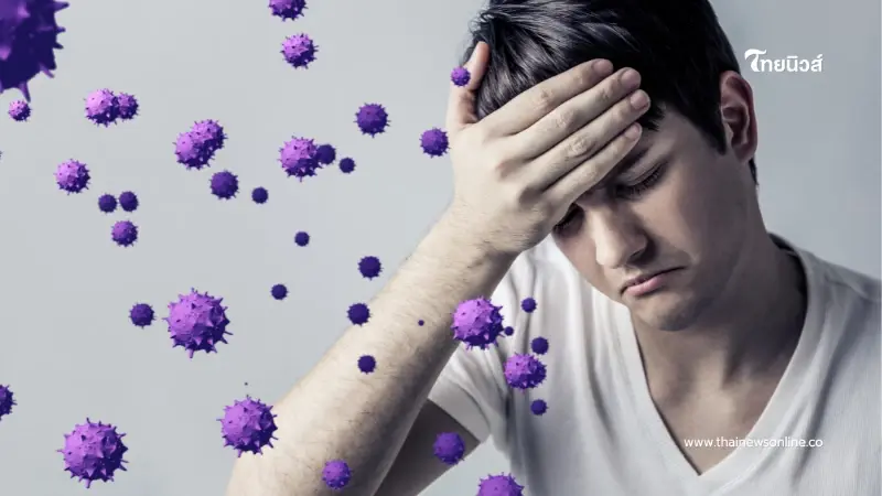 รัฐบาลเตือนไข้หูดับระบาด 28 จังหวัด กลุ่มสูงวัยเสี่ยงอันตราย