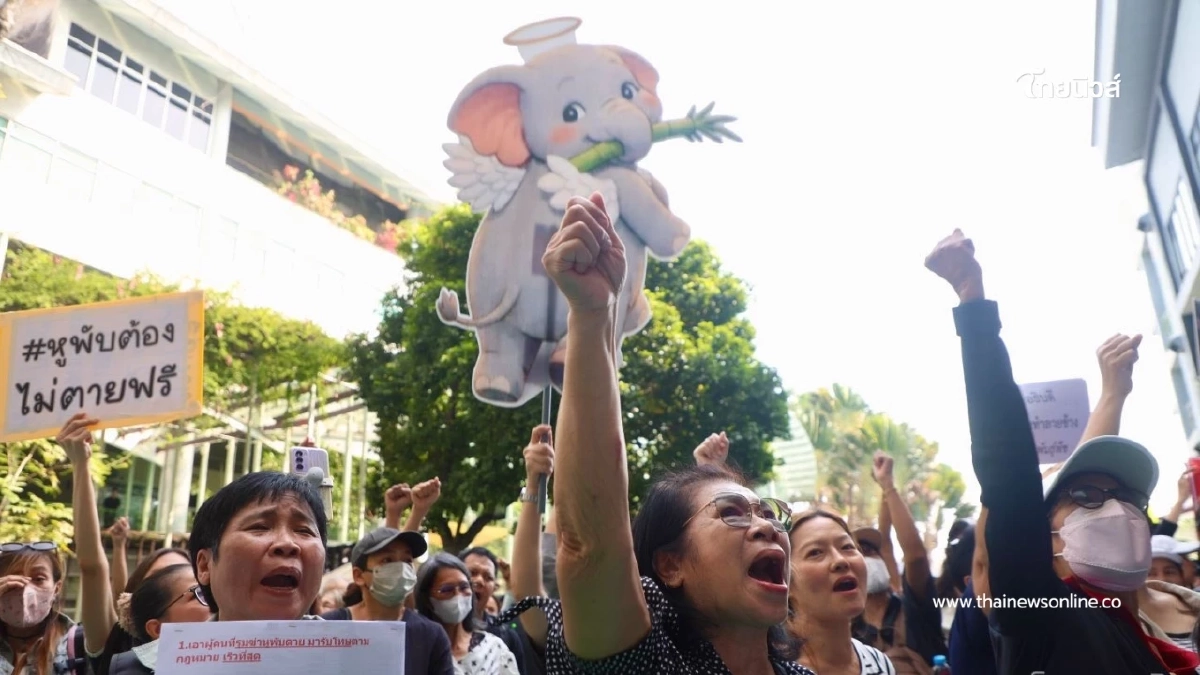 คนรักช้างบุกกรมอุทยาน จี้อธิบดีลาออก รับผิดชอบกรณีสีดอหูพับล้ม