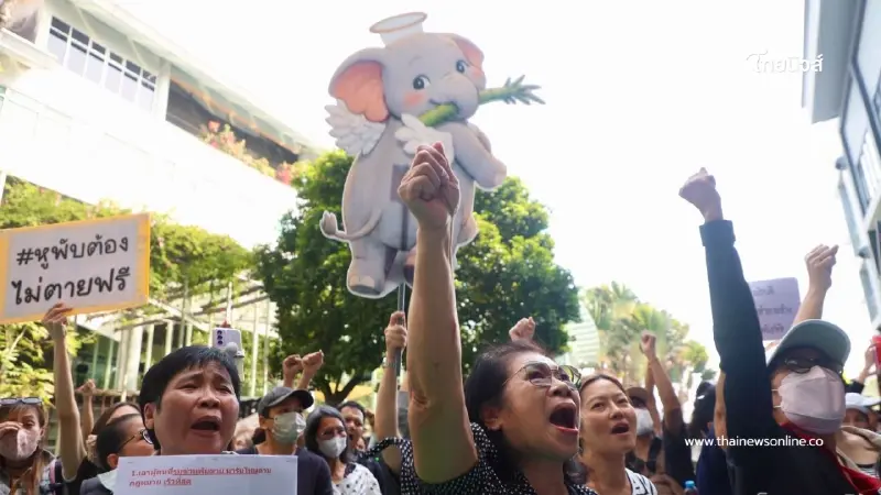 คนรักช้างบุกกรมอุทยาน จี้อธิบดีลาออก รับผิดชอบกรณีสีดอหูพับล้ม