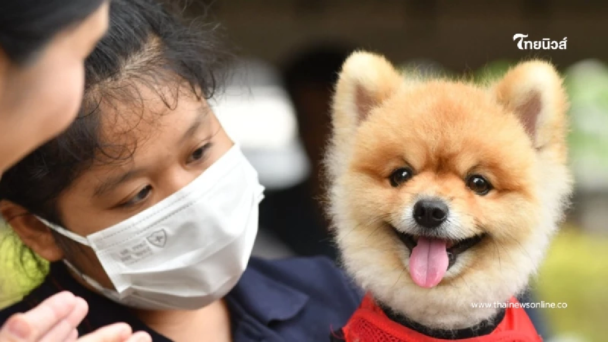 กทม. บุกถึงที่ ฉีดวัคซีน-ฝังชิปฟรีถึงหมู่บ้าน ผลตอบรับล้นหลามเกือบ 100 ตัว