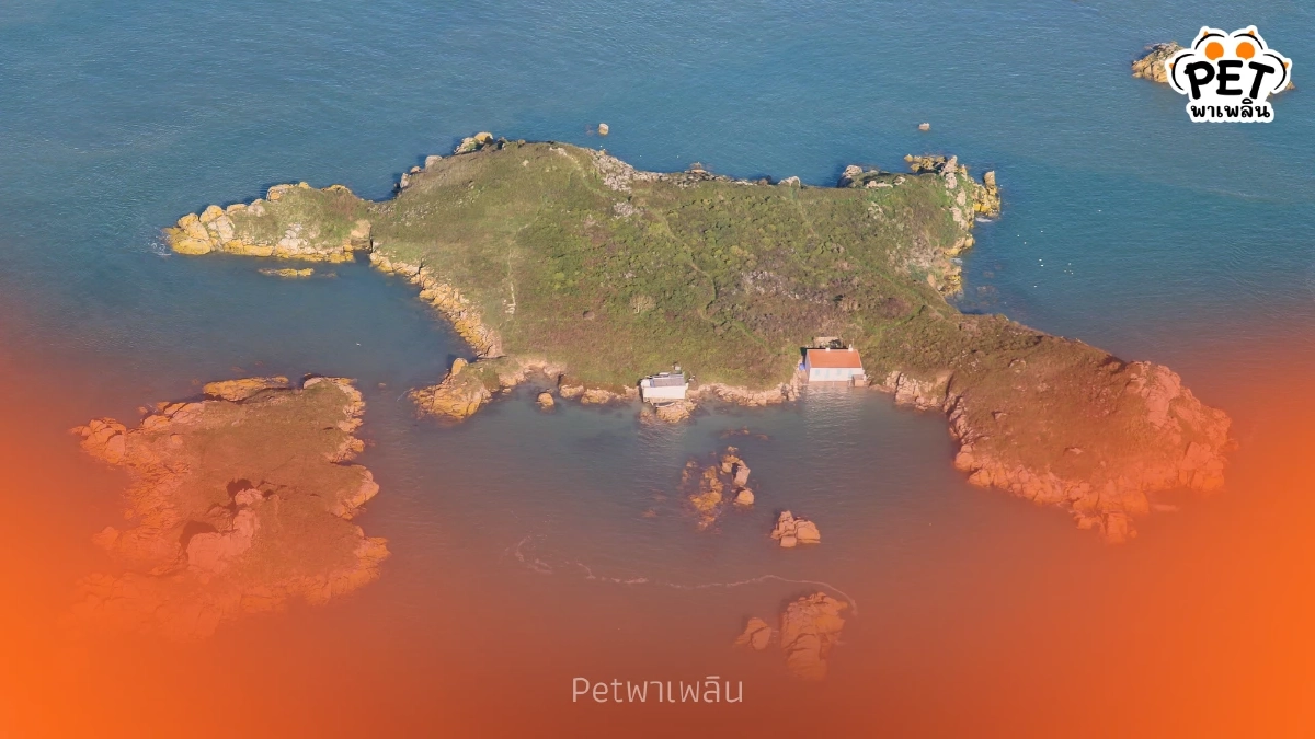 "ประเทศไหนครองแชมป์ เปิดโผประเทศงูเยอะที่สุดปี 2026"