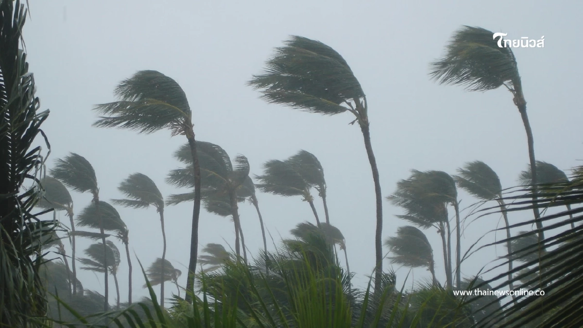 เตรียมรับมือ พายุฤดูร้อนถล่มไทย 23-25 ก.พ. พื้นที่ไหนบ้างเช็กเลย