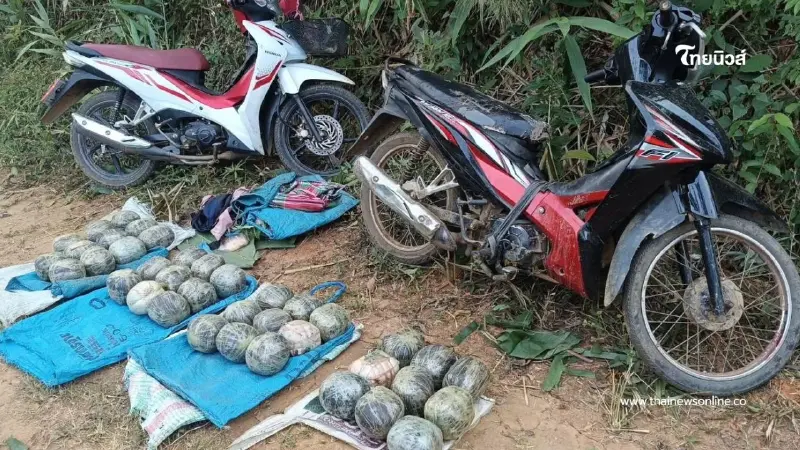 สกัดขบวนการลำเลียงยาเสพติด ยึดฝิ่นกว่า 60 กก. – ยาบ้า 10 เม็ด