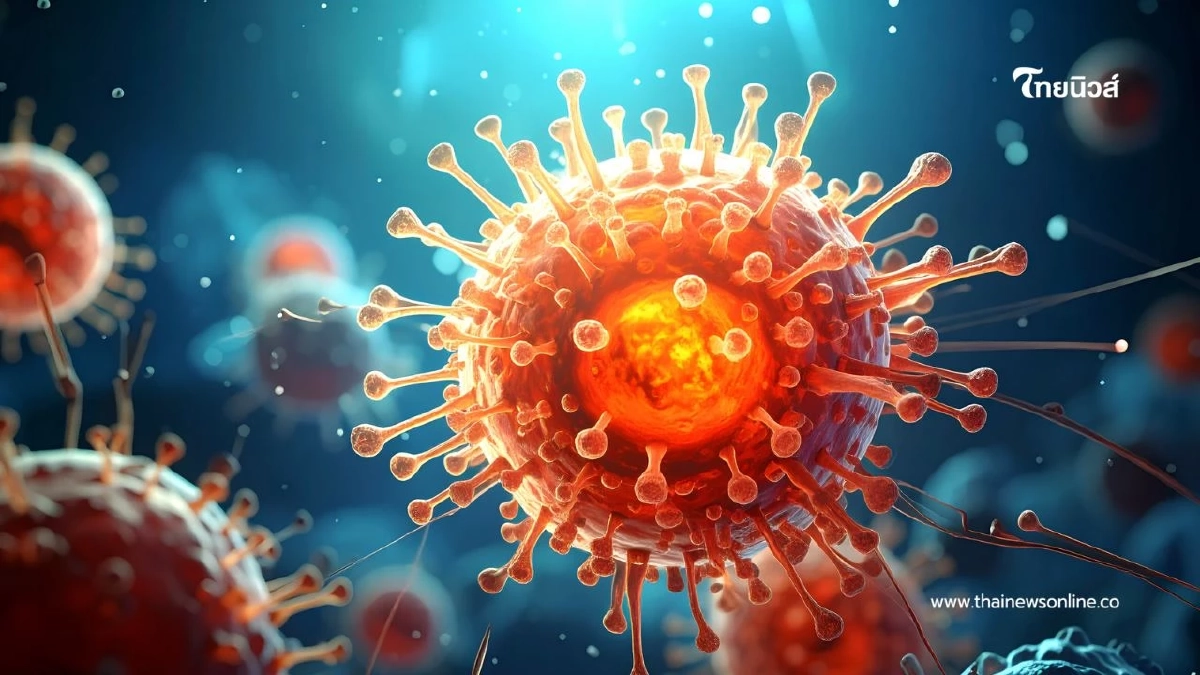 กรมควบคุมโรคย้ำชัด "ไวรัสนิปาห์" ไทยยังไม่พบผู้ติดเชื้อ