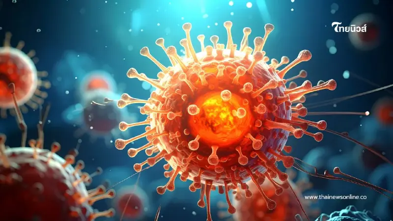 กรมควบคุมโรคย้ำชัด "ไวรัสนิปาห์" ไทยยังไม่พบผู้ติดเชื้อ