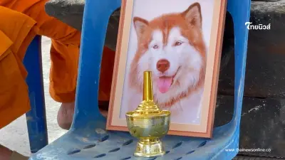 ยอดพุ่งค่าหัวคนร้าย ราดน้ำมัน "มอลลี่" ล่าสุดทะลุ 8 หมื่น ยอดพุ่งค่าหัวคนร้าย ราดน้ำมัน "มอลลี่" ล่าสุดทะลุ 8 หมื่น