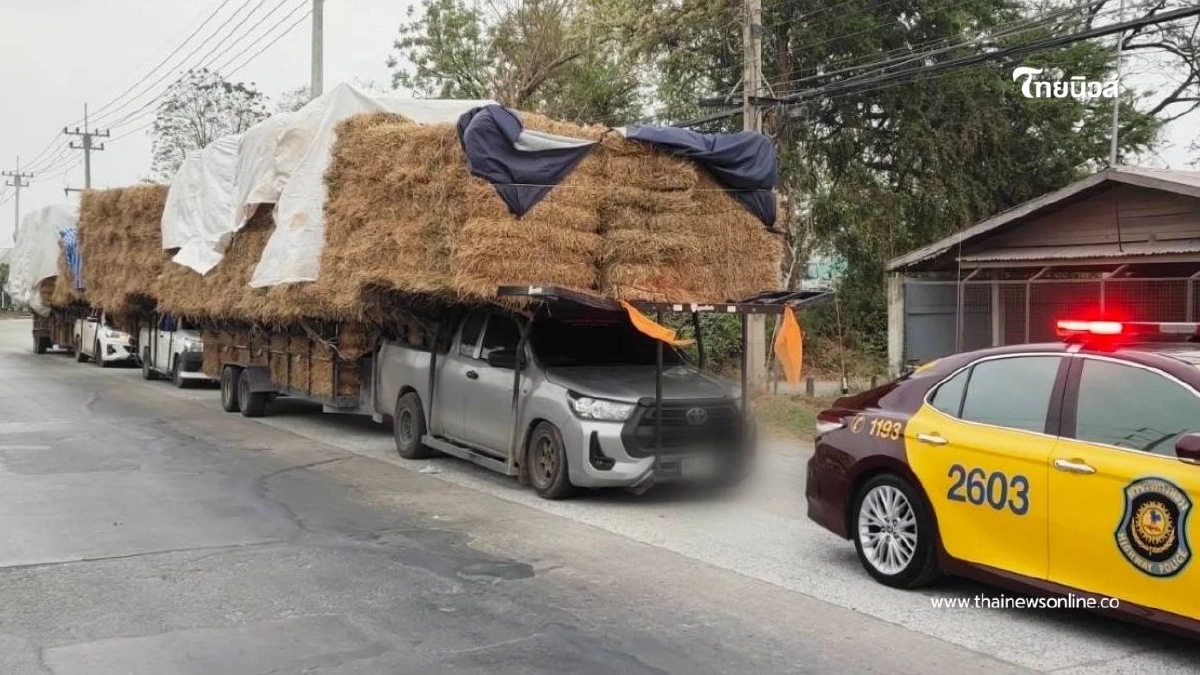จับจริง! ตำรวจทางหลวงกาญจนบุรี–สุพรรณบุรี กวดขันรถบรรทุกฟาง
