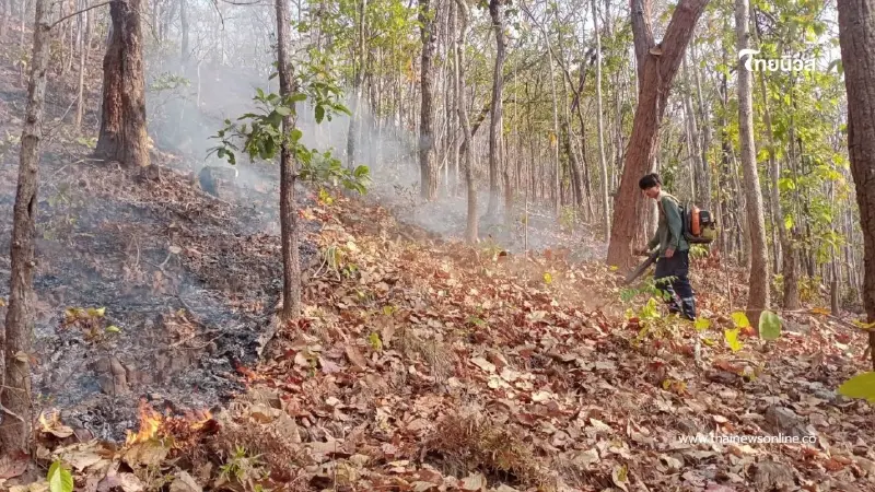 สบอ.11 ระดมกำลังดับไฟป่า 2 พื้นที่ เสียหายรวม 60 ไร่ เร่งควบคุม