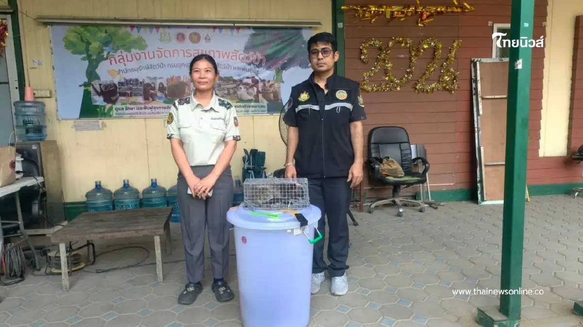 สกัดขบวนการค้าสัตว์ป่าข้ามชาติ! รวบหนุ่มไทยซุก ตะกวด–โอพอสซัม สกัดขบวนการค้าสัตว์ป่าข้ามชาติ! รวบหนุ่มไทยซุก ตะกวด–โอพอสซัม
