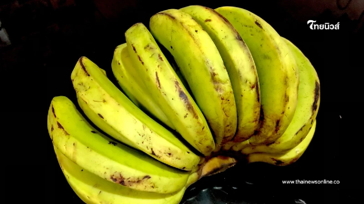 กิน “กล้วยน้ำว้าห่าม” ต่อเนื่อง 1 เดือน ร่างกายจะเกิดอะไรขึ้น